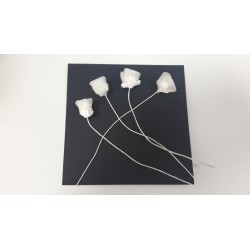 POMO FLOR PF0008 MARFIL